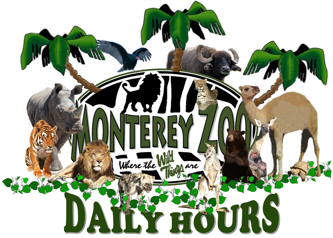 monterey zoo & vision quest safari b&b
